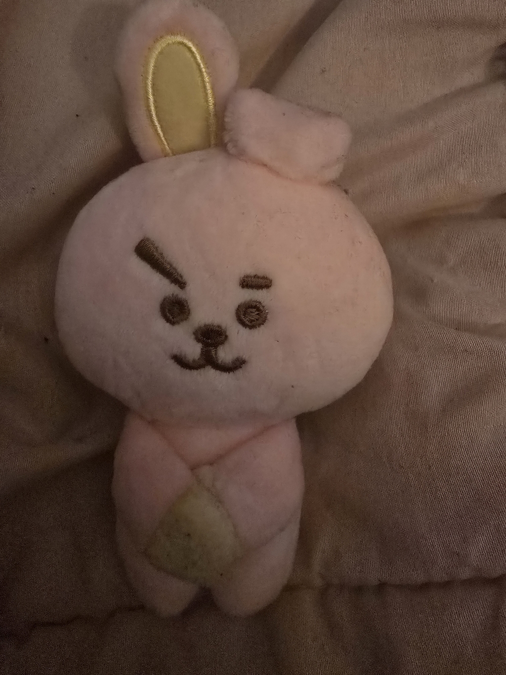 BT21 Cooky Plush Magnet
